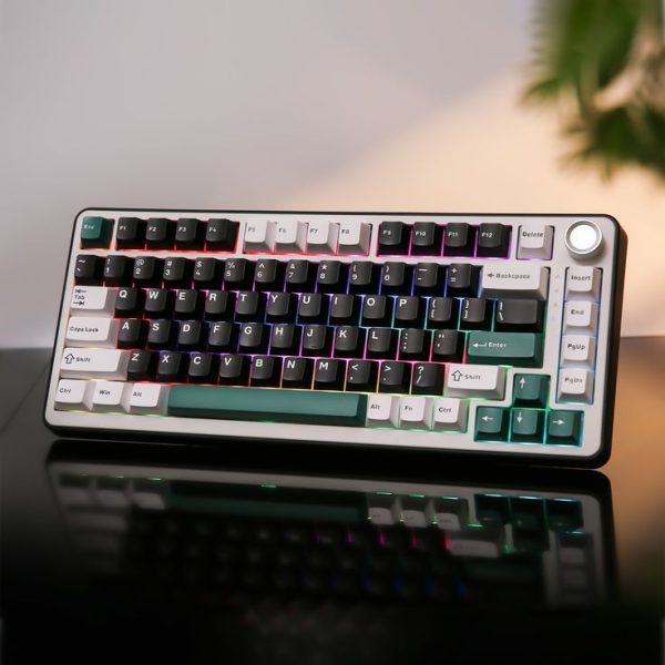 Mechanical Gaming Keyboard